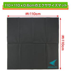 エアロライフ 大判エクササイズマット DR-0...の詳細画像2
