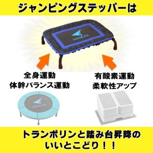 【3/21・22 P+10倍】 踏み台昇降 踏...の詳細画像1