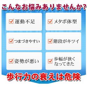【3/21・22 P+10倍】 踏み台昇降 踏...の詳細画像2