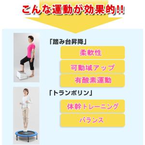 【3/21・22 P+10倍】 踏み台昇降 踏...の詳細画像3