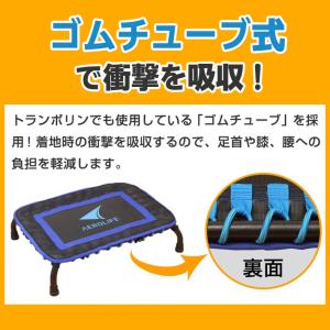 【3/21・22 P+10倍】 踏み台昇降 踏...の詳細画像4