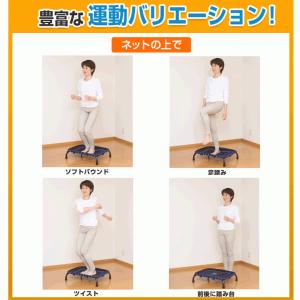 【3/21・22 P+10倍】 踏み台昇降 踏...の詳細画像5