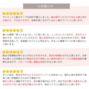 【3/21・22 P+10倍】 ステッパー ス...の詳細画像4