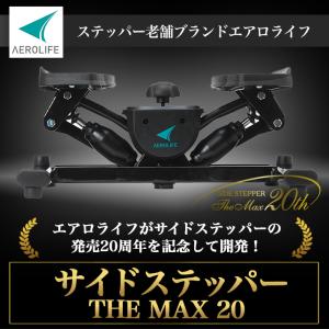 ステッパー 負荷調節 サイドステッパー THE...の詳細画像1