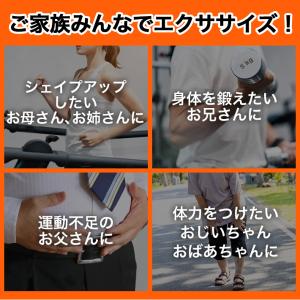 ステッパー 負荷調節 サイドステッパー THE...の詳細画像4