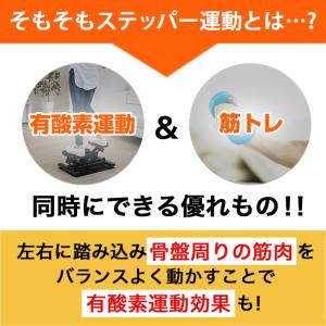 ステッパー 負荷調節 サイドステッパー THE...の詳細画像5