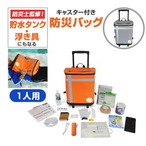 メテックス 防災バッグ TANAKA 防災士ブラザーズモデル 2人用