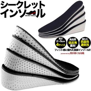 HiCool INSOLE【公式】 シークレットインソール 世界特許採用