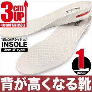 ハイクールインソール HiCool INSOLE シークレットインソール Sサイズ