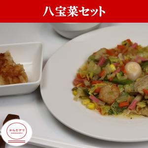 からだデリ 味の富士山 八宝菜セット（B-15）冷凍弁当 冷凍食品 冷凍総菜 冷凍惣菜 健康弁当 おかず 宅配