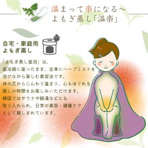 独自ブランド 温楽 よもぎ蒸しパッド お試し3...の詳細画像4