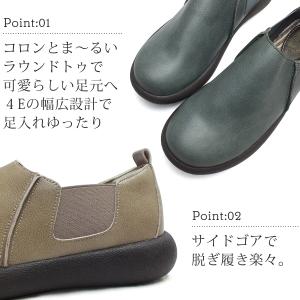 Wilson Lee SPORTS ウィルソン...の詳細画像5