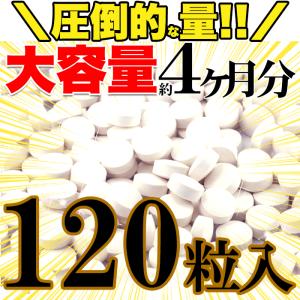 メガ盛り HMBサプリメントどっさり約4ヶ月分...の詳細画像2