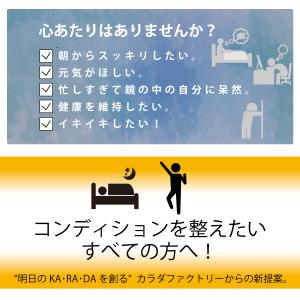 KA・RA・DA アミノ4α(30日分)の詳細画像2