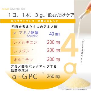 KA・RA・DA アミノ4α(30日分)の詳細画像4