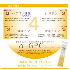 KA・RA・DA アミノ4α(30日分)の詳細画像5