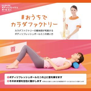 KA・RA・DAボディリフレッシュポールミニ|...の詳細画像3