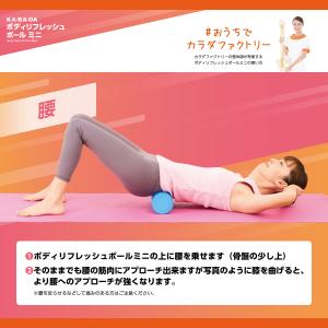 KA・RA・DAボディリフレッシュポールミニ|...の詳細画像5