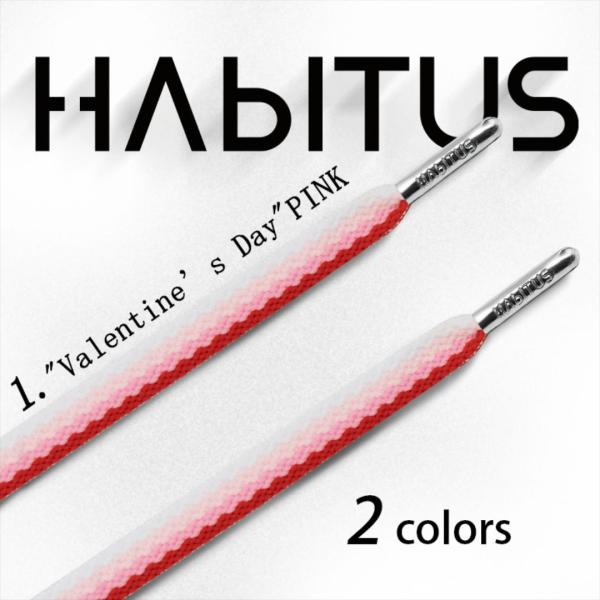 HABITUS.BRAND ハビタス ブランド フラットシューレース 幅10mm シューレース 靴紐...
