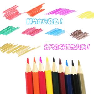 油性色鉛筆 48色 動物柄 収納付き 鉛筆削り...の詳細画像1