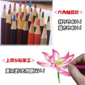 油性色鉛筆 48色 動物柄 収納付き 鉛筆削り...の詳細画像2