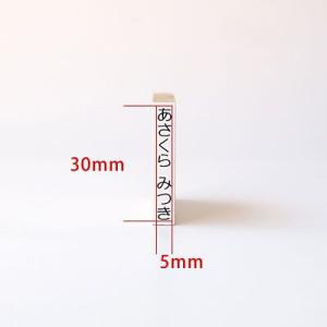 印鑑 はんこ お名前スタンプ 保育園 ねいみー...の詳細画像4