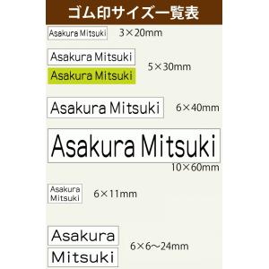 お名前スタンプ 布用 オムツ タグ 印鑑 はん...の詳細画像1