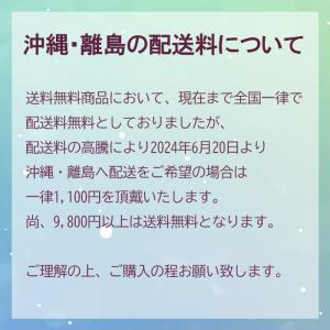 印鑑 はんこ シャチハタ おなまえスタンプ 保...の詳細画像1