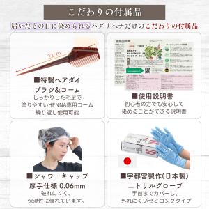 白髪染め ダークブラウン 100g オーガニッ...の詳細画像1
