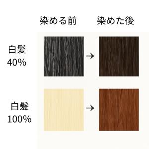 白髪染め ダークブラウン 100g オーガニッ...の詳細画像4