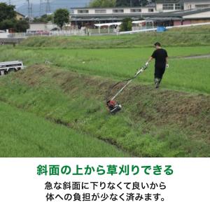 在庫あり 4月末までオイルプレゼント中 スパイ...の詳細画像5