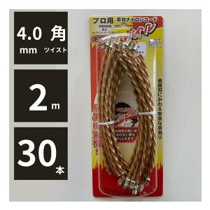 安全コードゴールデンバイソン カルエンタープライズ 安全コード差替タイプ ゴールデンバイソン 4.0...