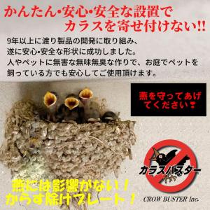 カラスよけ 対策 カラス撃退 グッズ 果実園 ...の詳細画像3