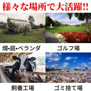 カラスよけ 対策 カラス撃退 グッズ 果実園 ...の詳細画像5