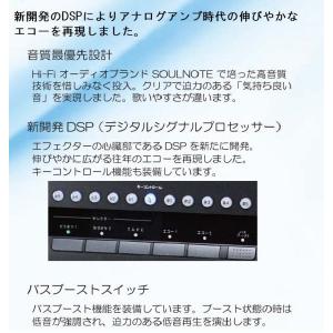 カラオケアンプ CSR カラオケプリメインアン...の詳細画像1