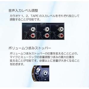 カラオケアンプ CSR カラオケプリメインアン...の詳細画像2