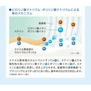 歯磨き粉 ホワイトニング ライオン ブリリアン...の詳細画像4