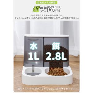超大容量 自動給餌&給水器 一体型 自動餌やり...の詳細画像5