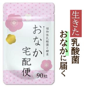 ユニシティ UNICITY バランス 30スティック ユニシティ・ジャパン株式