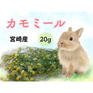 パパイヤの葉（乾燥）小動物フード ウサギ チンチラ モルモット