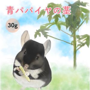 パパイヤの葉（乾燥）小動物フード ウサギ チンチラ モルモット