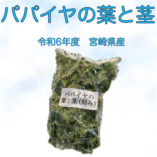 青パパイヤの葉と茎（乾燥・刻み）30g