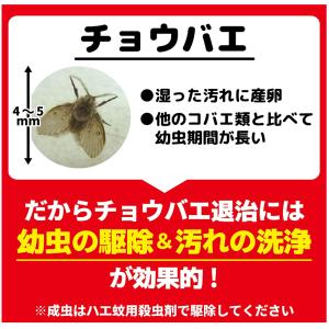 大日本除虫菊 金鳥 業務用チョウバエバスター ...の詳細画像4