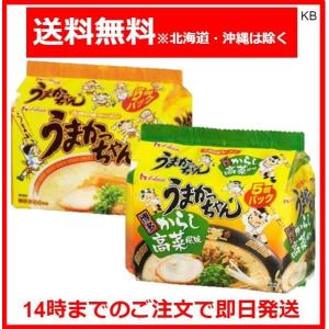 うまかっちゃん 10食セット(オリジナル5食+辛子高菜風味5食) 計10食セット｜Karimero Box