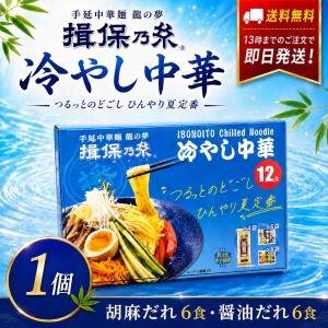 揖保乃糸 冷やし中華 12食セット 胡麻だれ6・醤油だれ6 手延べ中華麺