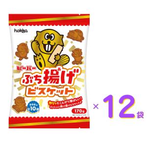 北陸製菓 hokka ビーバー ぶち揚げビスケット 170g ×12袋 セット