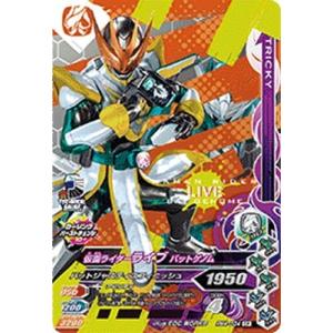 ガンバライジング RM4-066 LR 仮面ライダーアギト グランド ガンバライジング RM4-066 LR 仮面ライダーアギト グランド