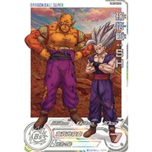 ドラゴンボールヒーローズ 第2弾 UR 孫悟飯:少年期 (H2-16 P ドラゴンボールヒーローズ 第2弾 UR 孫悟飯:少年期 (H2-16 P