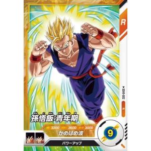 karintou-shop_sdv9-002