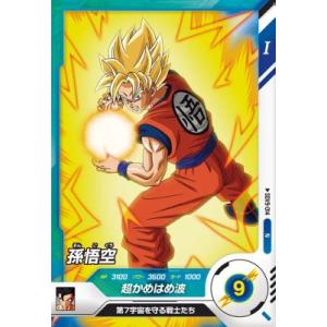 karintou-shop_sdv9-014